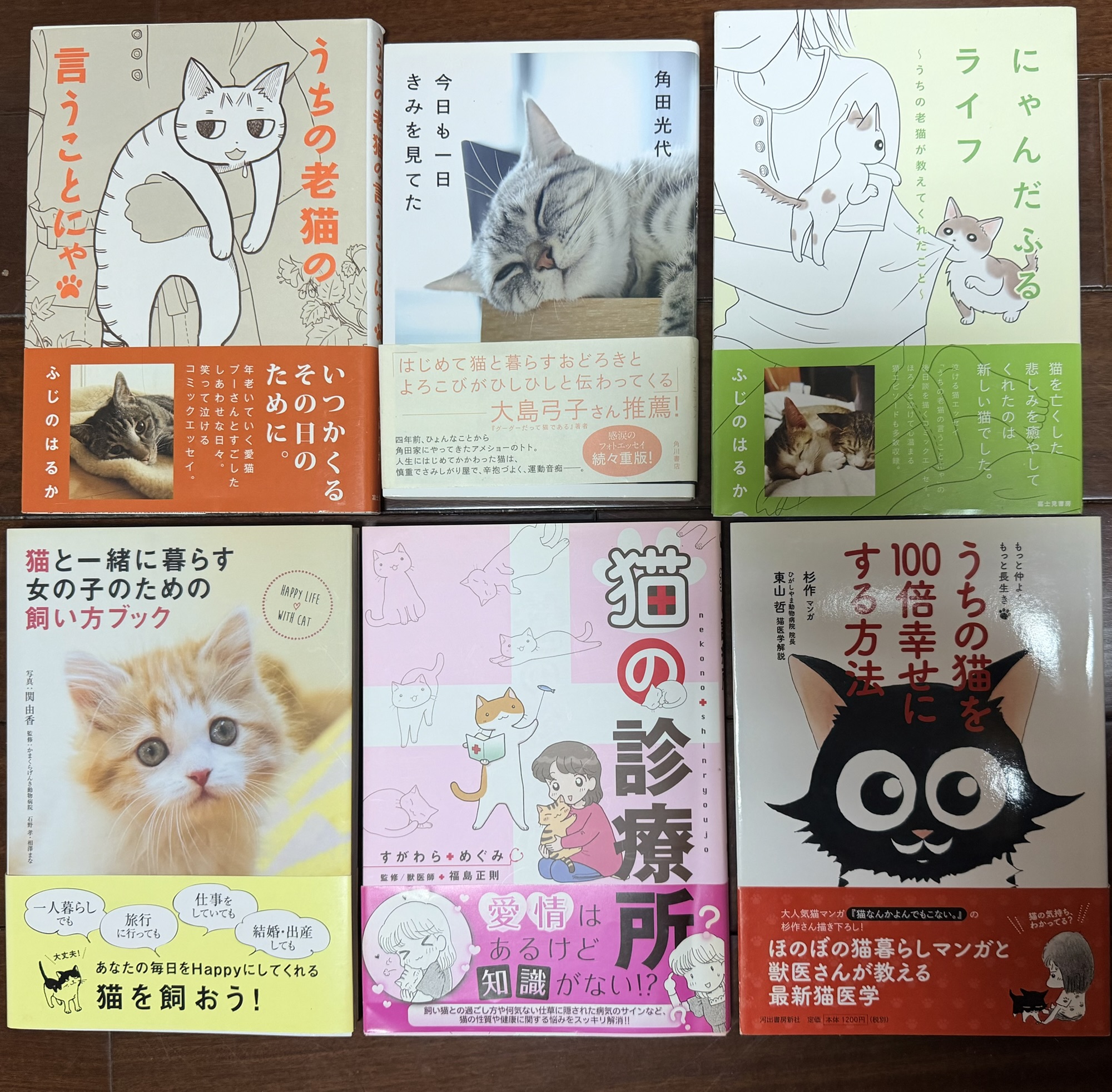 那些被貓環繞著的日子：寫在書稿編修期的生活碎片